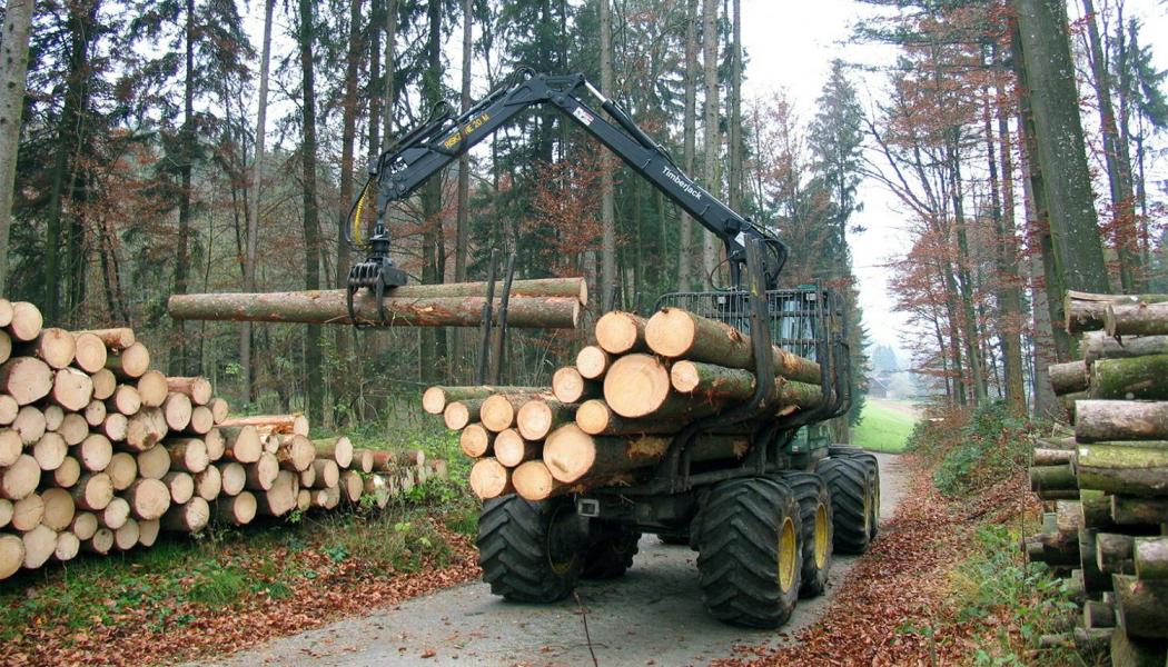 Avverkningsverksamhet. Symbolbild. Foto: Waldwissen