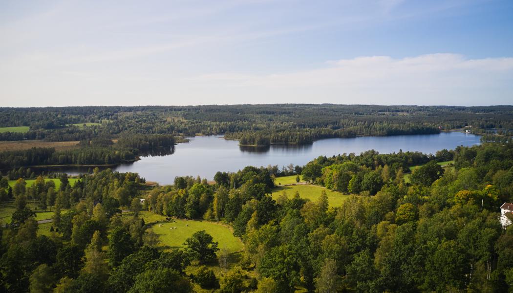Foto: Södra 