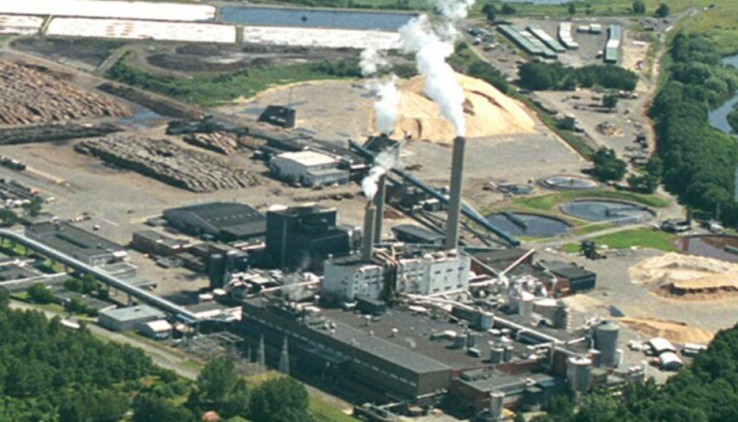 Foto: Stora Enso