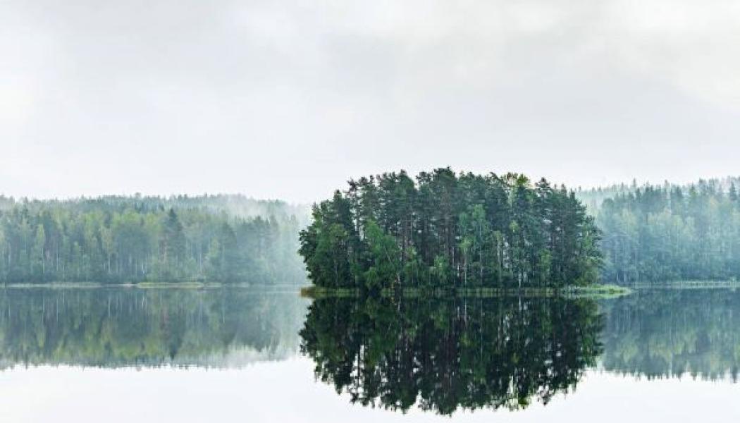 Stora Enso meddelar att de åtar sig att uppnå nettonollutsläpp av koldioxid år 2040 genom att underteckna The Climate Pledge. Foto: Stora Enso