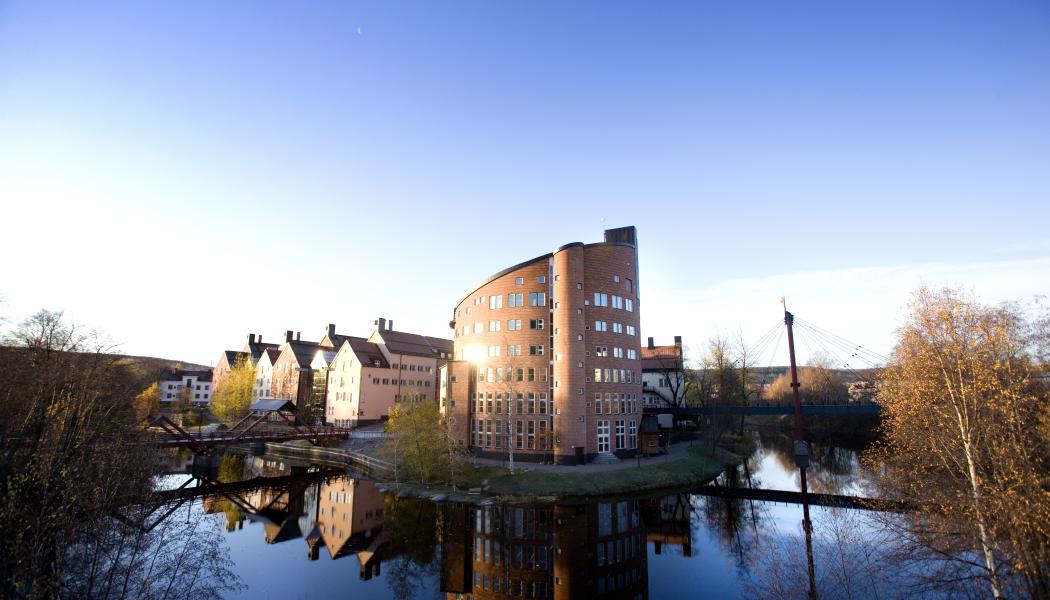 Mittuniversitetet och forskningscentret FSCN är värdar för EPNOE 2025. Fotograf: Sandra Pettersson