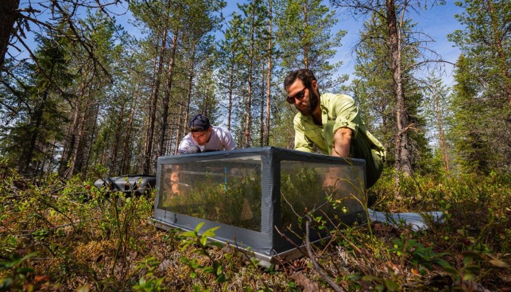 Forskare mäter koldioxidflödet från mark i en ungskog. Bild: Andreas Palmén/Paper Province