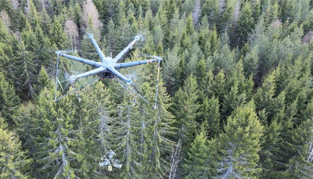 Tekniken innebär att gallring genomförs utan markkontakt, där varje träd flygs ut till väg för vidare transport till kunden. Foto: Sveaskog