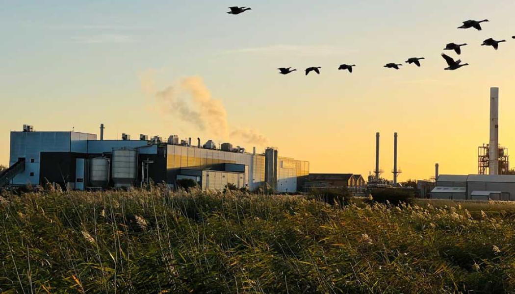 Foto: Smurfit Kappa