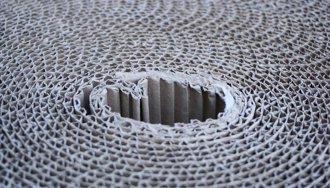 Överkapacitet inom skogsindustrin innebär att produktionen överstiger efterfrågan, vilket pressar priser och lönsamhet. Samtidigt påverkas sektorn starkt av energikostnader och handelspolitik, vilket gör förpackningsmarknaden särskilt känslig för globala förändringar. Foto: Creative Commons Lic. Kredit: Webandi

