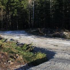 Foto: Södra