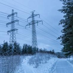 Foto: Per Berglund / Mostphotos