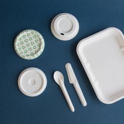 Teknikföretaget Pulpac är specialiserat på torrformad fiber. Bild: PulPac