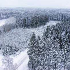 Foto: Södra