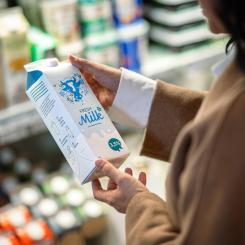 Projektet handlar om att utveckla en mer energieffektiv och resurseffektiv CTMP‑process. Foto: Billerud