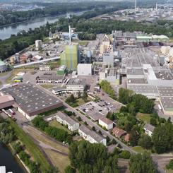 Foto: Stora Enso