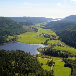 Foto: Södra