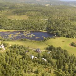 Rapporten varnar för riskerna med minskad tillgång till råvara. Det skulle inte bara resultera i färre hållbara produkter här och nu, utan också ”sämre möjligheter till innovation och utveckling av framtidens  produkter – och därmed att skogen blir mindre värd”.