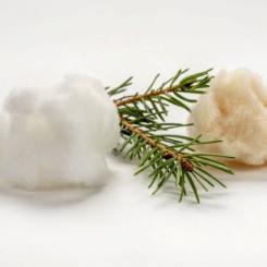 Efter kapacitetsökningen kommer Stora Ensos produktionsenhet i Skutskär att ha en årlig kapacitet på 440 000 ton fluffmassa. Bild: Stora Enso