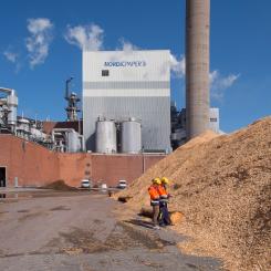 I slutet av 2023 beslutade skandinaviska papper- och massatillverkaren Nordic Paper, ledande inom specialpapper, om nyinvesteringar i sin anläggning i värmländska Bäckhammar. AFRY tilldelades uppdraget som ingenjörspartner och ska bidra med projektering av ny vedhantering och nytt elektrofilter med tjänster inom process, mekanik, rör, el, instrument och automation.
Foto: AFRY