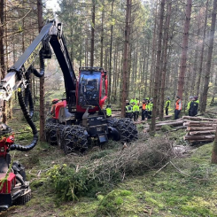 Enligt Södra ger förarstödet ”revolutionerande möjligheter för lokala anpassningar i skogen”, vilket gör det enklare att utföra skogsskötseln korrekt och därmed främja tillväxt och ökad lönsamhet. Foto: NFA