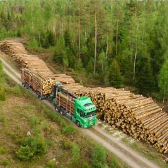 Foto: Anders Andersson/Södra