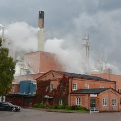 Aspa massabruk. Foto: Bengt Oberger/Wikimedia Commons