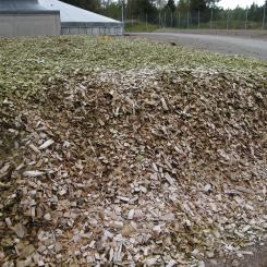 Norske Skog menar miljömyndighetens besked innebär ett betydande bakslag för dem och skapar incitament för anläggningar att fortsätta eller till och med öka sin användning av fossila bränslen. Arkivbild.