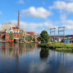 Rapporten lyfter fram de samhällsekonomiska kostnaderna av att ta skogsmark ur produktion. Hur Sverige väljer att implementera exempelvis naturrestaureringsförordningen kan ”få långtgående konsekvenser när det gäller sysselsättning, regional utveckling, export och skatteintäkter”, slår rapporten fast.