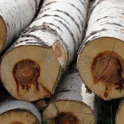 Symbolbild.  Foto: Creative Commons Lic, Kredit: Pixa5