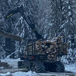 Foto: Thomas Persson/SCA