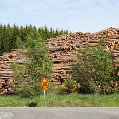Förskjuter man flödet av returfiber påverkar det alla papperssegment, enligt forskningen. Foto: H0002/Wikimedia Commons