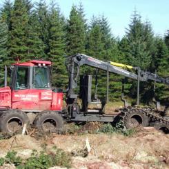 Skogsmaskin i arbete. Foto: Wikipedia Common, kredit: Peter McDermott