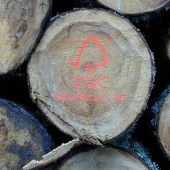 Foto: Gerhard Elsner