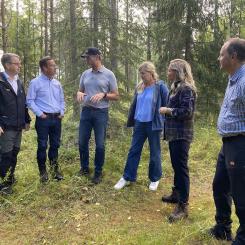 Foto: Norra Skog