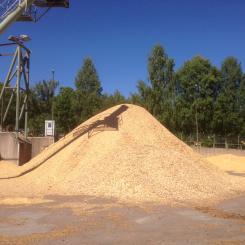 Råvaran består av restströmmar från sågverk, där färskt sågspån matas direkt in i processen. Foto: Simon Matthis