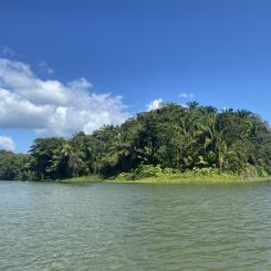 I Colombia pågår FN:s globala klimatmöte COP16, som handlar om att främja den biologiska mångfalden. Foto: Simon Matthis