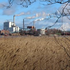 Gruvöns bruk producerar falskartong, vätskekartong och white-top kraftliner bland annat.