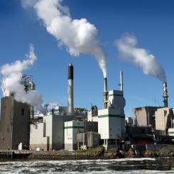 Anläggningen för Irving Pulp & Paper Limited i Saint John, New Brunswick, Kanada. Irving Pulp & Paper Limited tillverkar sulfatmassa av både barr- och lövträd. Företaget är tillsammans med Irving Paper Limited och Irving Tissue Company Limited en del av Irving Forest Products & Services, som ägs och drivs av holdingbolaget J.D. Irving, Ltd. Foto: Wikipedia Common, Kredit: Marc-Lautenbacher