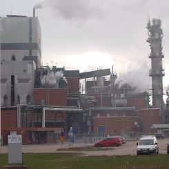 Foto: Janee/Wikimedia Commons