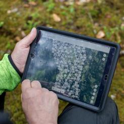 Skogsbruksplanen, som är ett verktyg i skogsägarens planering och beslutsfattande, har under flera decennier sett ungefär likadan ut, men kommer nu att ta ett "tekniksprång". Foto: Johanna Nilsson/Södra