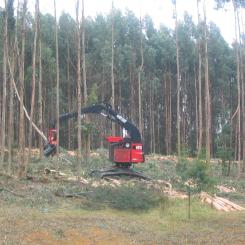Foto: Johnbing/Wikimedia Commons