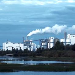 Byggandet av fabriken har varit det största pålningsprojektet i Finlands historia. Sammanlagt användes 600 kilometer med pålar vid konstruktionen av fabriken vid mynningen av Kemijoki-floden. Foto: Metsä Fibres