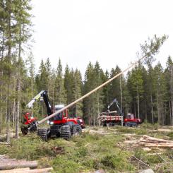 Malwa Forest tillverkar små och lätta skogsmaskiner anpassade för gallring och arbete i känsliga skogsmiljöer. Komatsu är en global industrikoncern med rötter i Japan och verksamhet inom bland annat bygg- och skogsutrustning. Foto: Komatsu