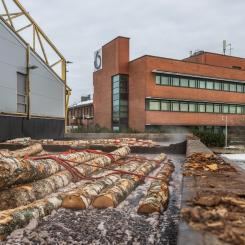 Det ser bättre ut för Finlands sågverkssektor just nu. Bilden visar Koskisens sågverk och huvudkontor i Finland. Foto: Koskisen Oyj