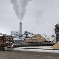 Finländsk skogsindustri och forskningsinstitut ser möjligheter att göra affärer av koldioxidutsläpp från massa- och bioenergianläggningar. Foto: Metsäteollisuusliitto. Kredit: Luke.