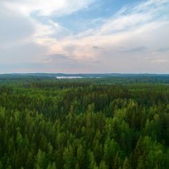 Foto: Metsä Board