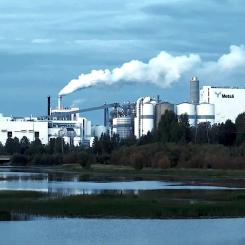 Den nya bioproduktfabriken i Kemi är inte bara en fabrik; det är en milstolpe för hela branschen och en signal om Finlands ambitioner inom skogsindustrin. Foto: Metsä Fiber