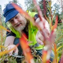 Foto: Metsä Group