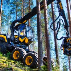 Effektiv skogsavverkning. Foto: Maskintillverkaren Ponsse, pressfoto