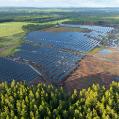 Foto: Skogsstyrelsen