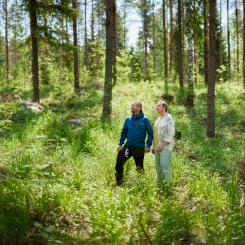 Foto: Nostokuvat/Metsä Group
