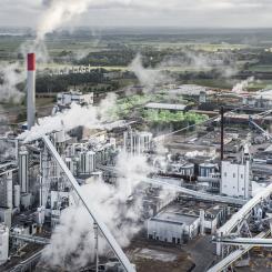 Vid Södra Cell Värö har flera piloförsök genomförts med havreskalen med ”mycket positiva resultat”, enligt Södra. Foto: Per Pixel/Södra