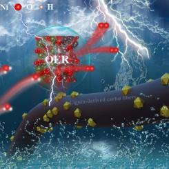 Kolfibrer framställda av lignin, laddade med NiO/Fe3O4 för att främja syrgasutvecklingsreaktionen. Foto: Xuezhi Zeng, Yutao Pan, Yi Qi, Yanlin Qin och Xueqing Qiu.