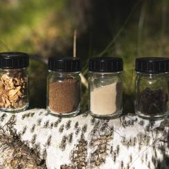 Björkbark är en högvolymrestprodukt från skogsbruket, enligt Reselo. Foto: Nokian Tyres